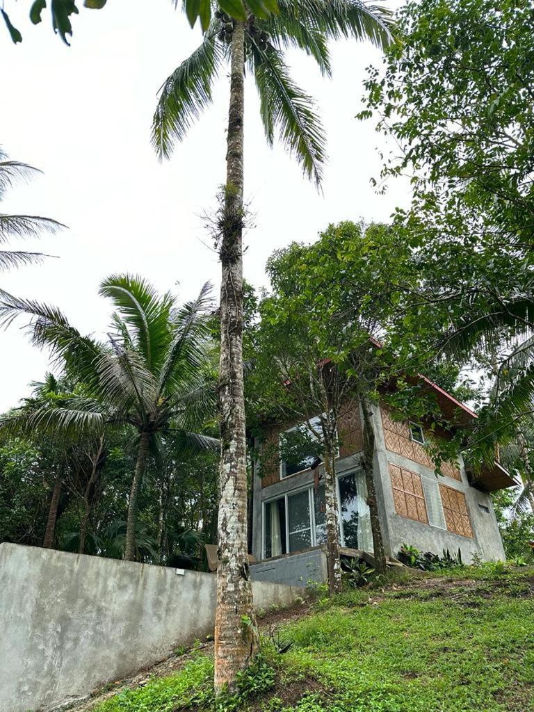 Hotel Elnora'S Farm Lucban Exteriér fotografie